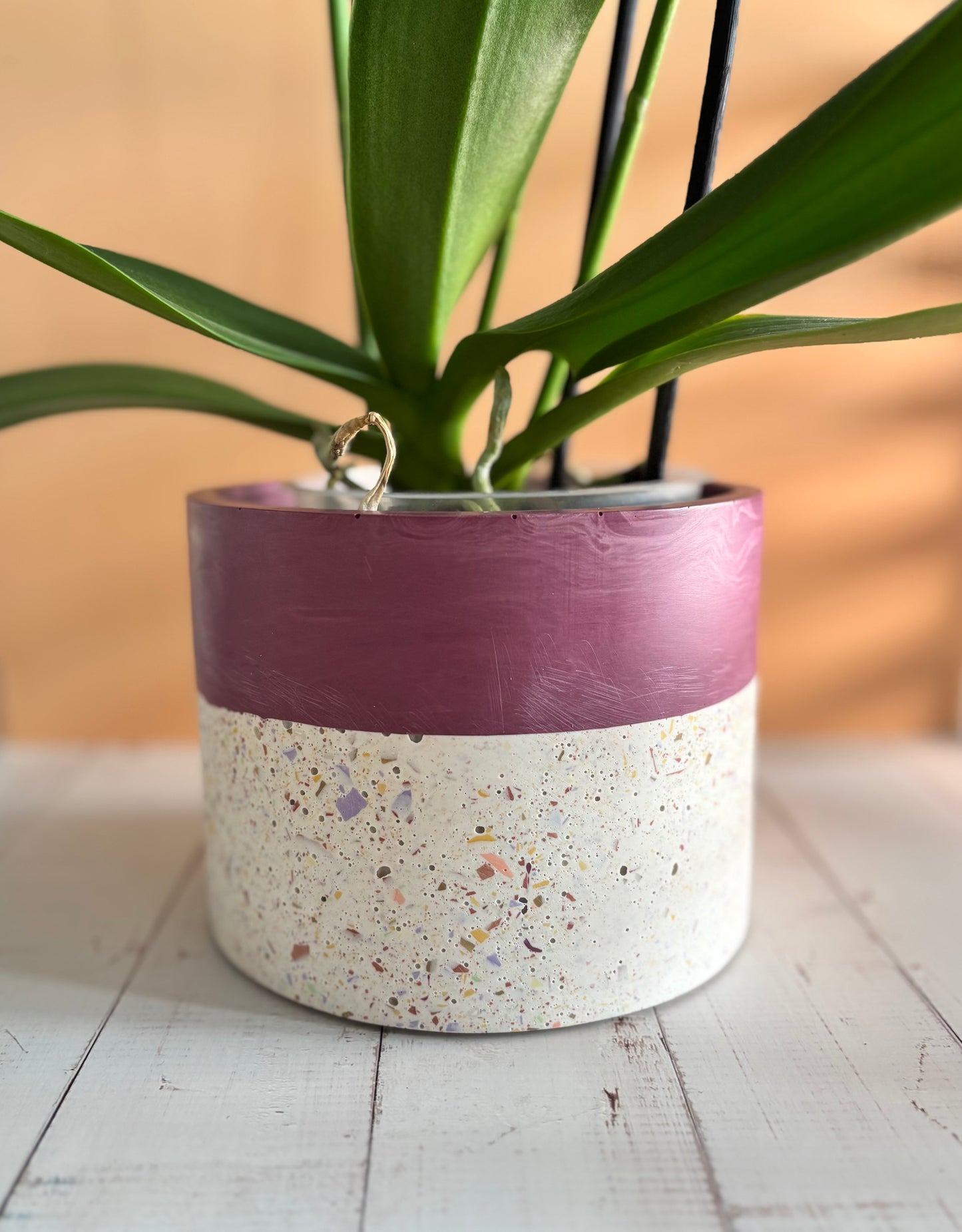 Vaso terrazzo bicolore - Peonia