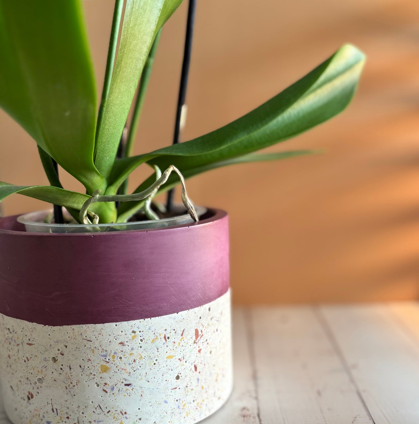 Vaso terrazzo bicolore - Peonia