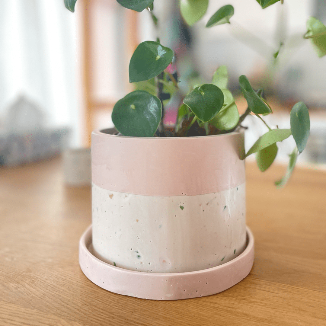 Kookie.it Rosa Vaso terrazzo con piattino