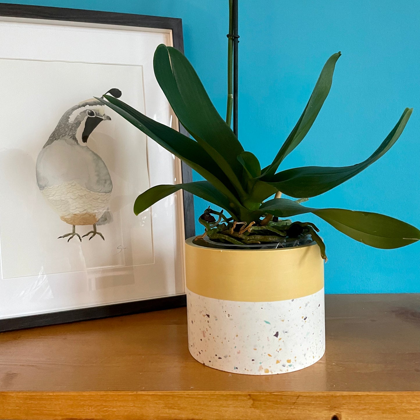 Vaso terrazzo Senape - Kookie.it