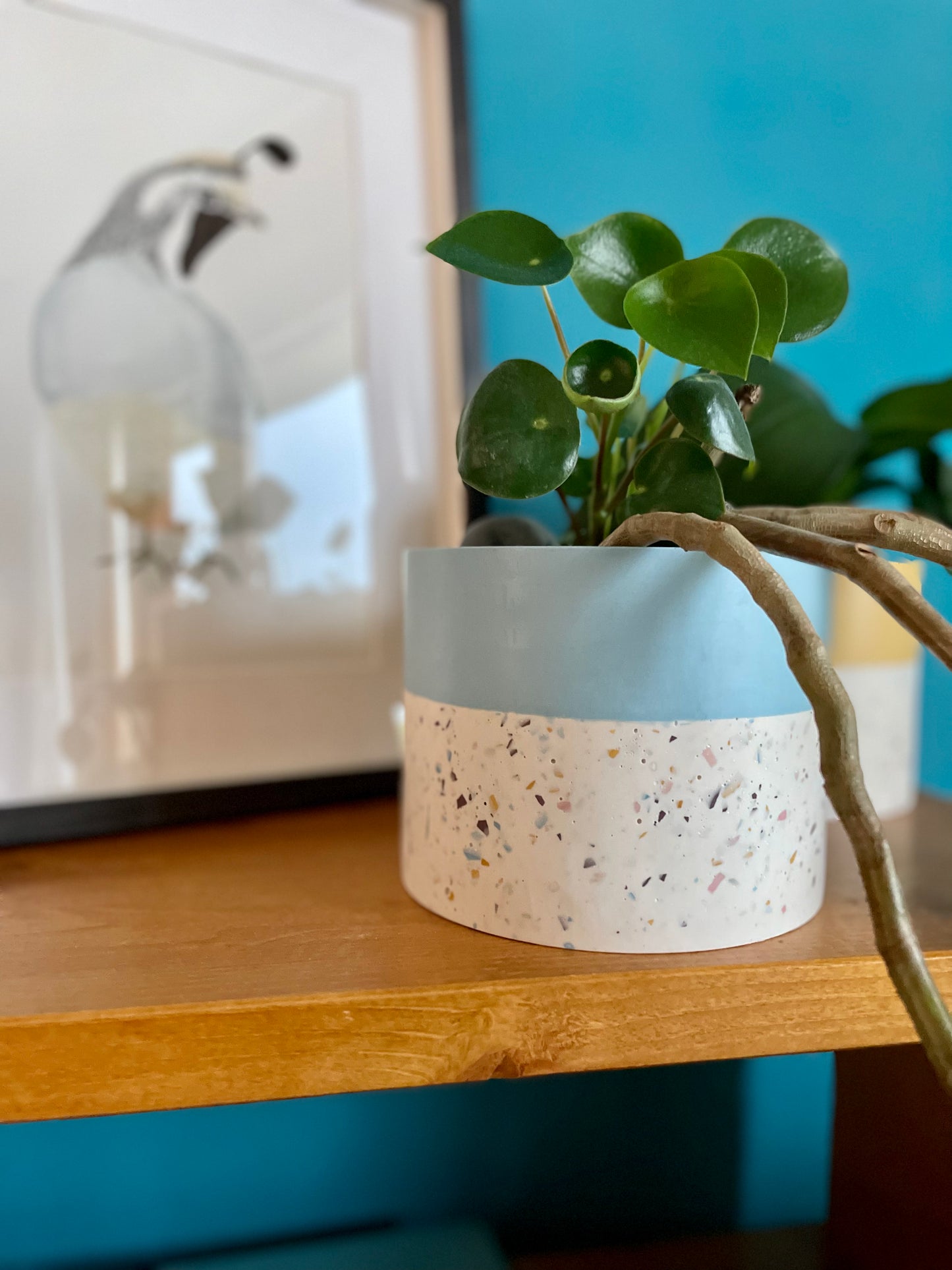 Vaso terrazzo Azzurro - Kookie.it