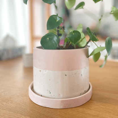 Kookie.it Rosa Vaso terrazzo con piattino